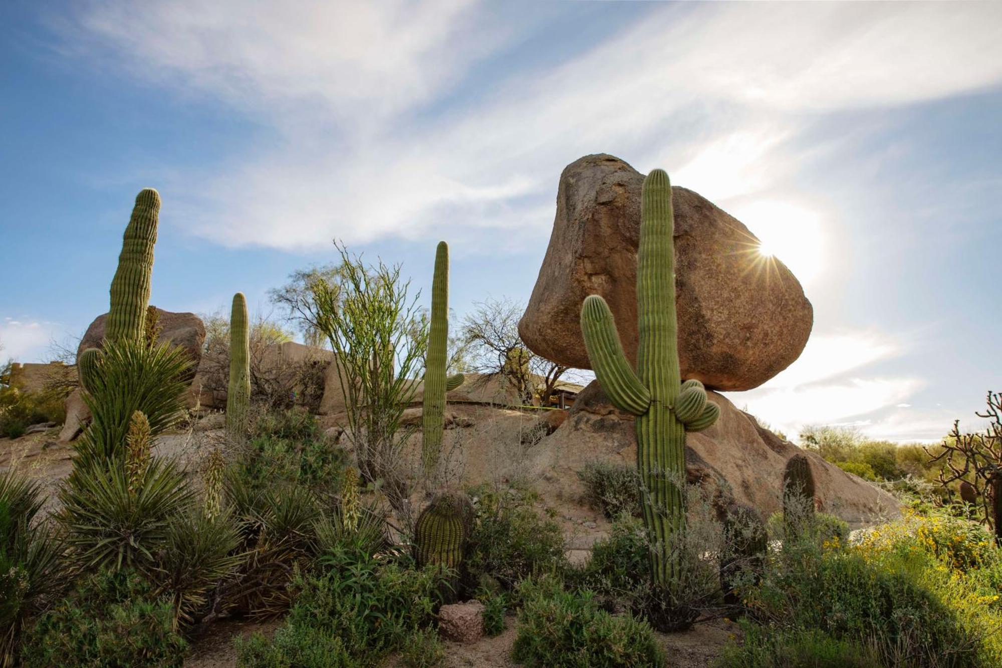 Boulders Resort & Spa Scottsdale, Curio Collection By Hilton Extérieur photo